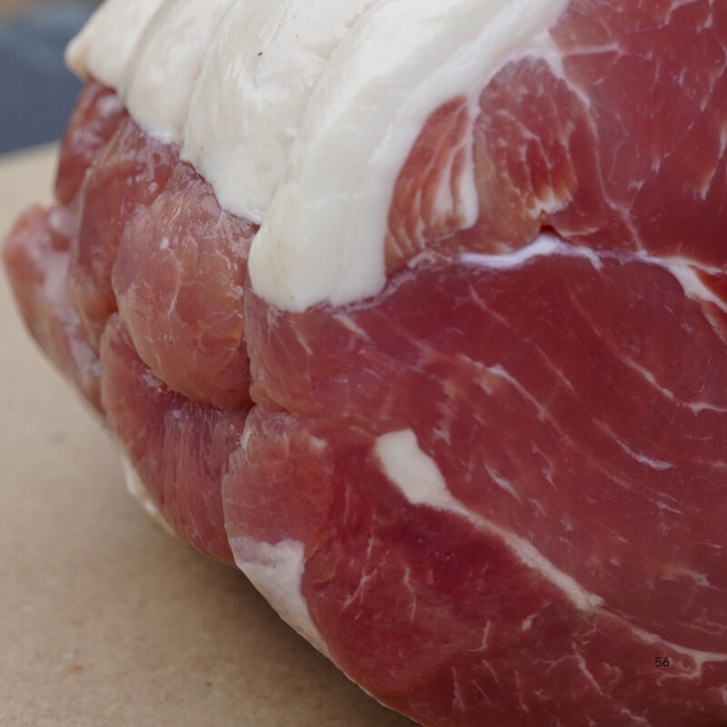 gammon (3) gammon (3)