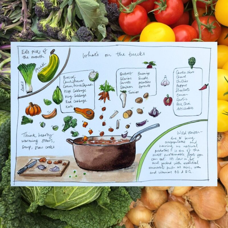 calendar (2) calendar (2)